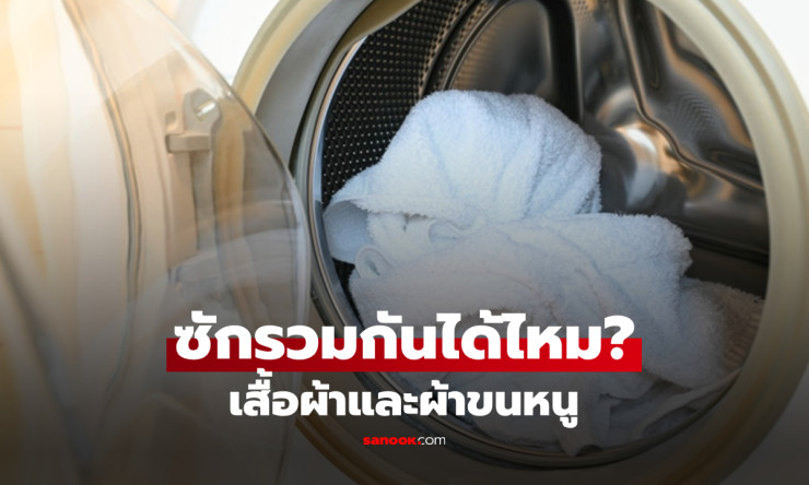 CEO มาเฉลยเอง! ซักผ้ากับผ้าขนหนูรวมกันได้ไหม? ความจริงที่หลายคนเข้าใจผิดมานาน