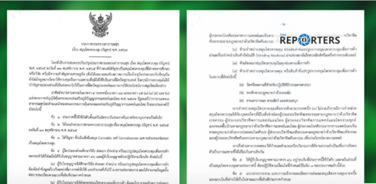 อวสานกัญชาเสรี! รมว.สาธารณสุขเซ็นประกาศควบคุม ใช้เพื่อทางการแพทย์เท่านั้น