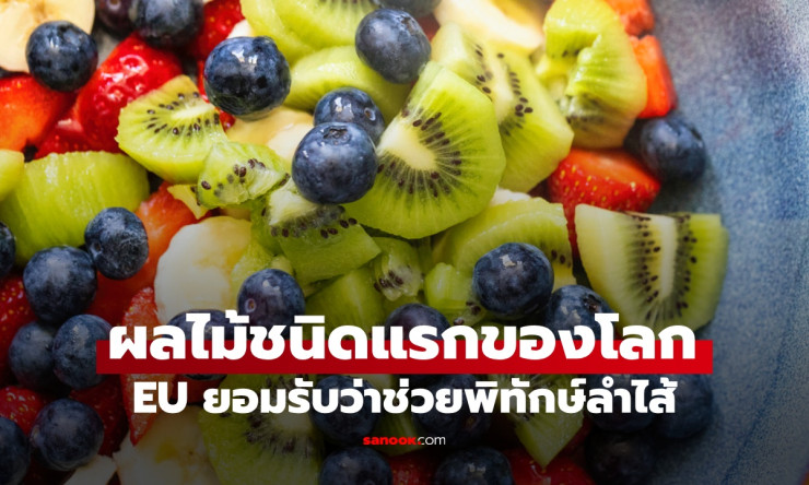 ผลไม้พิทักษ์ลำไส้ ชนิดแรกของโลก ผ่านเกณฑ์ EU ดีกว่าไฟเบอร์ทั่วไป!