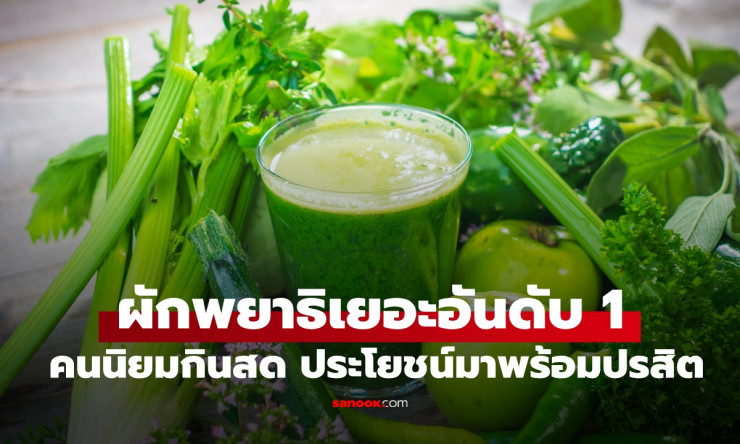 ช็อก! ผักกินสดอันดับ1 ของไทย เต็มไปด้วยพยาธิ 77% อย่าประมาท กินแล้วอาจแย่เอาได้!