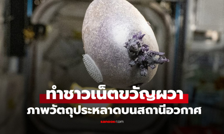 ช็อกทั้งโลก! วัตถุม่วงลอยคล้ายเอเลี่ยนบน ISS จริงๆ คือมันฝรั่ง?! นักบินอวกาศเฉลยปริศนาแล้ว