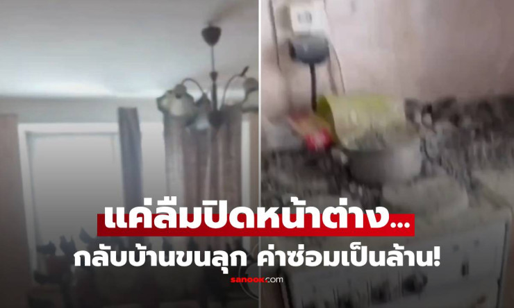 ลืมปิดหน้าต่างแค่ 3 ปี บ้านกลับเป็น อาณาจักรนกพิราบ ค่าซ่อมวิ่นเข้า 2 ล้านรูเบิล!!!