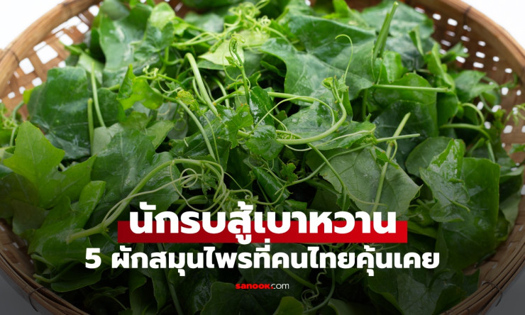 5 สมุนไพรไทย นักรบสู้เบาหวาน ผักพื้นบ้านลดน้ำตาลในเลือด อาวุธลับจากธรรมชาติ
