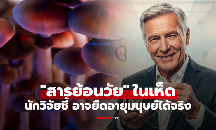 วิจัยชี้เห็ดวิเศษมีสาร ‘ยาอายุวัฒนะ’ ยืดอายุเซลล์มนุษย์ได้ถึง 50% แต่หลายประเทศยังห้ามใช้