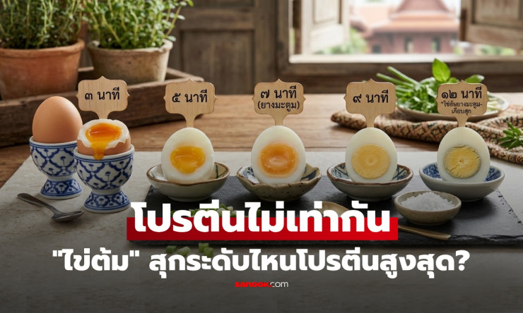 ช็อกเลย! ไข่ดิบ vs ไข่ลวก vs ไข่ต้ม โปรตีนไม่เท่ากันจริงเหรอ? แบบไหนได้ของดีสุด揭秘ด่วน!