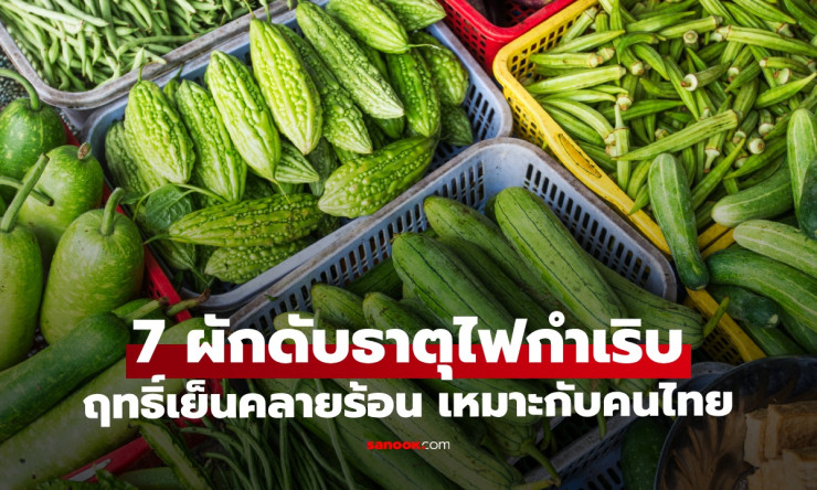 7 ผักฤทธิ์เย็น ดับธาตุไฟกำเริบ พืชพื้นบ้านที่คนไทยกินแล้วจะรู้สึกสดชื่นขึ้นมาทันที