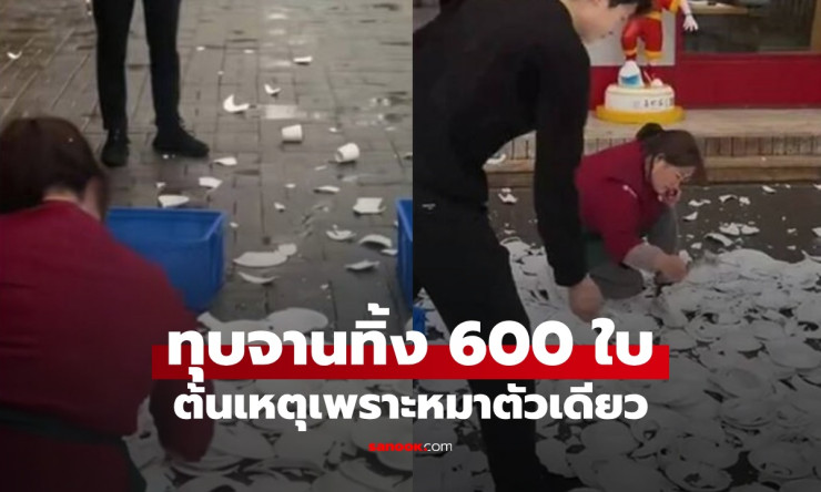 หมาตัวเดียวทำลายจาน 600 ใบ! เจ้าของร้านอาหารจีนทุบยับ สุดยอดความรับผิดชอบที่ทำให้ทุกคนขนลุก