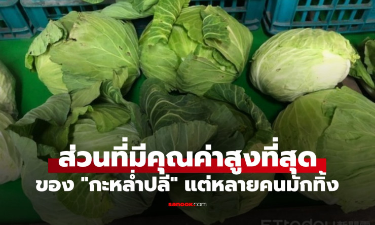 ช็อก! ส่วนหัวกะหล่ำปลีที่ทิ้งไปทุกวัน นี่แหละของดีสุดยอดที่กูรูบอก กินแล้วสุขภาพปังสุดๆ อย่าพลาด!