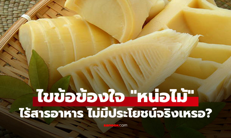 หน่อไม้ไม่ได้ไร้คุณค่า! ประโยชน์ดี ๆ ที่หลายคนอาจไม่รู้