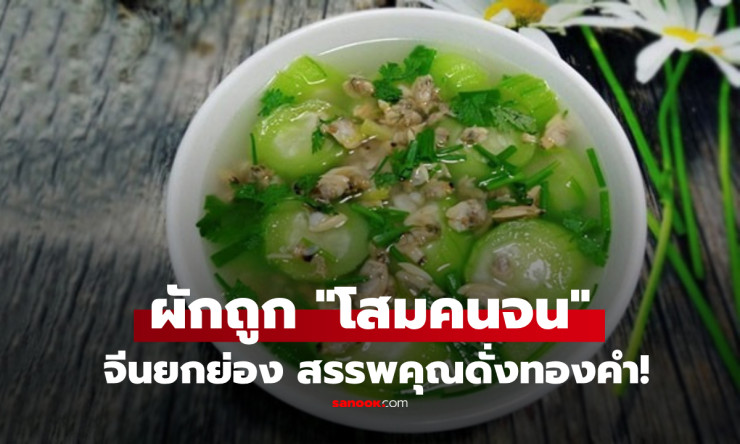 ใบงาโสมคนจน! จีนอวยยับ ไทยขายตลาดละ 10 บาท แต่บำรุงตับไตชะลอวัย ล้ำค่าดั่งทองคำ