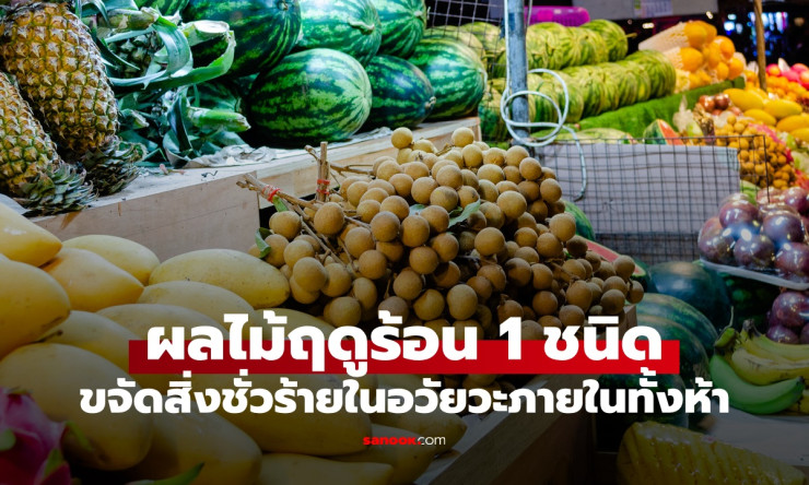ลำไยสุดปัง! ผลไม้ไทยที่หมอจีนยกให้เป็นตัวขจัดปีศาจร้ายในร่างกาย 5 อวัยวะ กินแล้วพลังพลุ่งพล่านทั้งปี