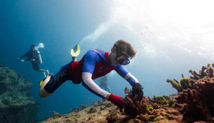 รู้จัก ทราย สก๊อต ทายาทตระกูลดัง เจ้าของฉายา มนุษย์เงือก ผู้มีใจพิทักษ์ท้องทะเล