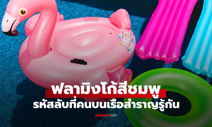 วงในมาเฉลย! เหตุผลที่เห็นฟลามิงโก้สีชมพูบนเรือสำราญ คือรหัสลับอะไร?