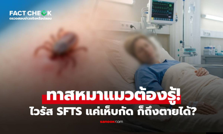 เห็บกัดตัวเดียว! เสี่ยงสมองอักเสบ-ไตวายตายคาที่?! ไทยเจอเคสจริงแล้ว อย่ามองข้ามเด็ดขาด!