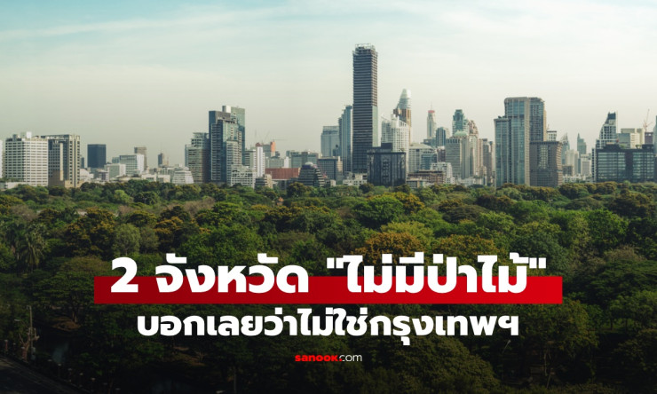 2 จังหวัดในไทยที่ไม่มีป่าไม้เหลืออยู่ บอกเลยไม่ใช่กรุงเทพฯ