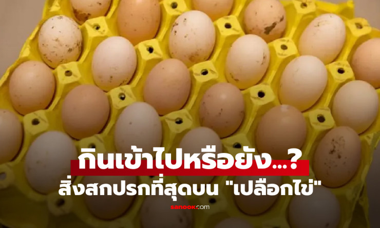 รู้หรือไม่? สิ่งสกปรกบนเปลือกไข่ที่คุณอาจกินเข้าไปทุกวันโดยไม่รู้ตัว!