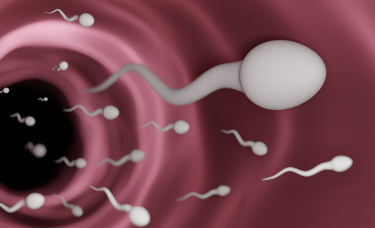 ครั้งแรกในโลก การแข่งขัน สเปิร์ม เรสซิง วัดความเร็วอสุจิ