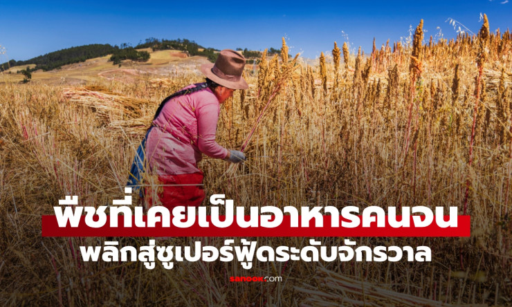 เมล็ดเจียสุดยอดซูเปอร์ฟู้ด! ประทังชีวิตคนจน สู่เมนูอวกาศนอกโลก ล่าสุด NASA ส่งไปฟีดนักบินอวกาศ