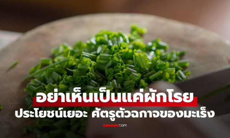 อย่าเห็นว่าเป็นแค่ผักโรย! ต้นหอม ศัตรูตัวฉกาจของมะเร็งที่คุณไม่ควรมองข้าม