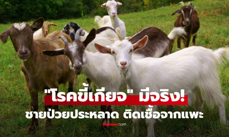 ชายเชือดแพะ 30 ปีทรุดเหนื่อยหนัก! ที่แท้ป่วยโรคขี้เกียจ ติดเชื้อจากแพะที่เลี้ยงทั้งชีวิต